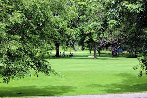 A golf course with a green lawn and trees.
