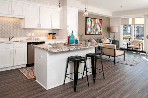 Decorated Apartment Living Room at The Shoreham, Minnesota