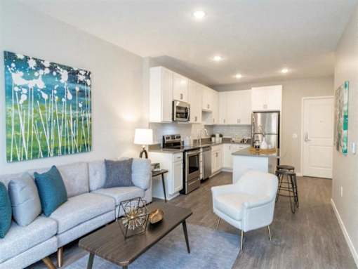 A modern living room with a grey couch and a coffee table at The Barnum Apartments, Minnesota, 55110
