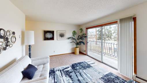 A living room with a grey couch and a blue patterned rug.
