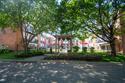 A tree-lined street with a building in the background.