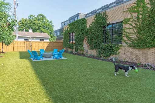 A dog is playing with a ball in a yard.