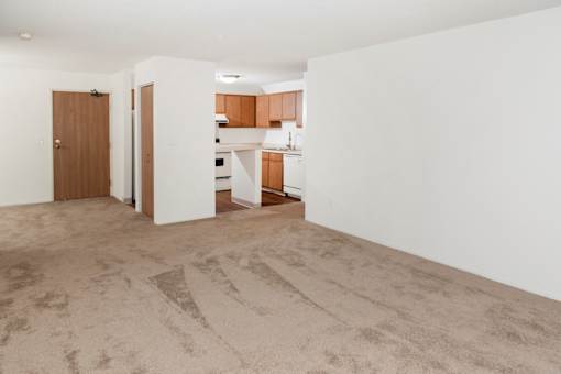 Living Room Carpet at Audenn Apartments, Minnesota