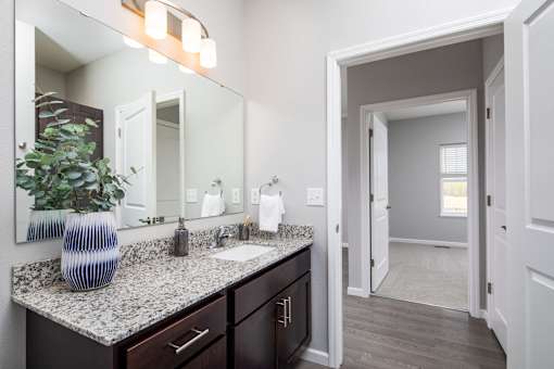 A bathroom with a sink, mirror, and a plant at The Edison at Spirit, Minnesota, 55044