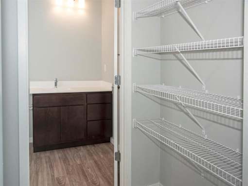 A white bathroom with a walk in closet.
