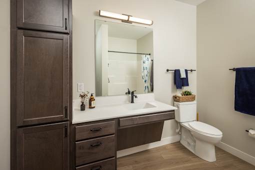 A bathroom with a white toilet and a brown cabinet.