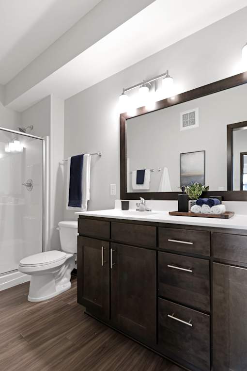 A bathroom with a white toilet and a wooden cabinet.