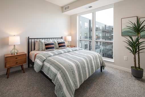 A bedroom with a large bed and a potted plant.