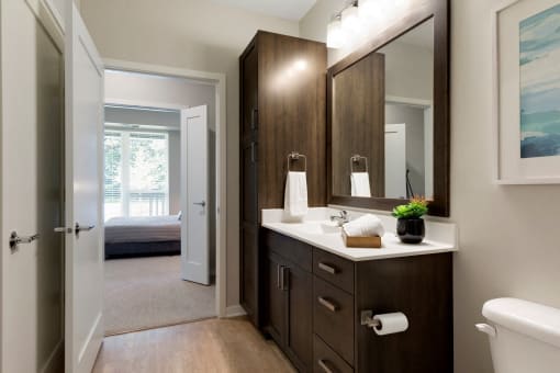 Master Bathroom Vanity at The McMillan Apartments in Shoreview, MN 55126