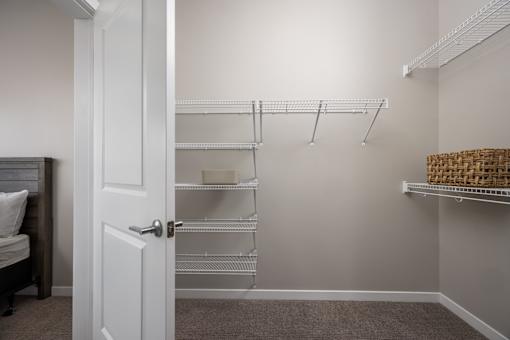A white closet with shelves and a door.
