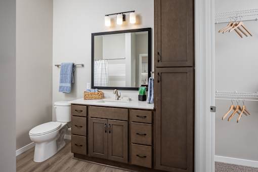 A bathroom with a white toilet, a brown cabinet, and a mirror above the sink.
