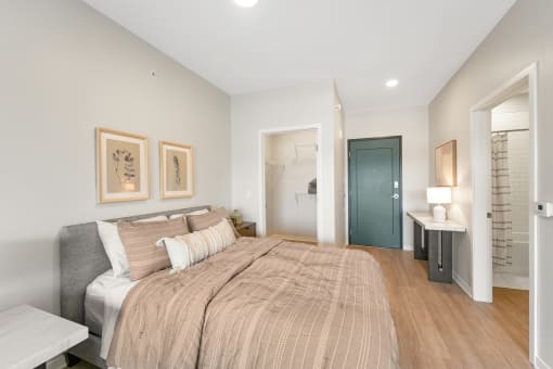 a bedroom with a large bed and a closet