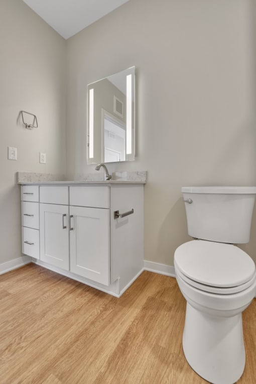 a bathroom with a toilet sink and mirror