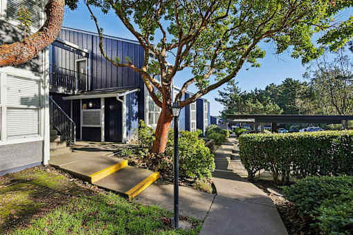 A tree in front of a building with a yellow ramp leading to the entrance. at Skyline Heights Apartments, California