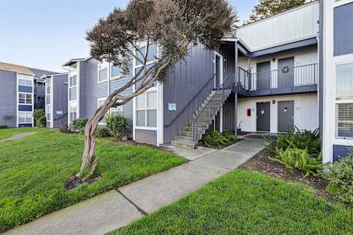 A tree in front of a building with a grey and white exterior. at Skyline Heights Apartments, California, 94015