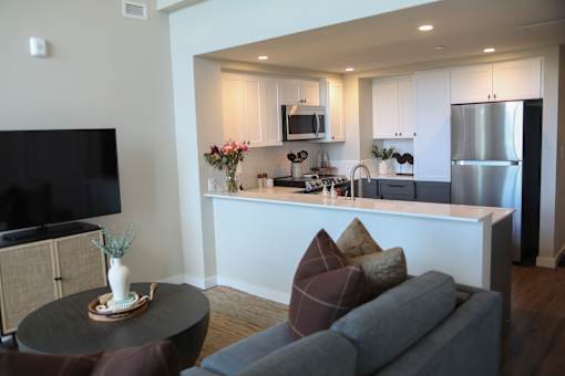Living Room With TV at 888 Fourth Street Apartments, LLC, California