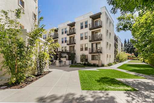 A sunny day at a modern apartment complex with a well-maintained lawn and trees. at Cirrus Redwood City Apartments, Redwood City