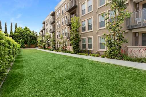 A long grass lawn in front of apartment buildings. at Cirrus Redwood City Apartments, Redwood City, CA, 94061