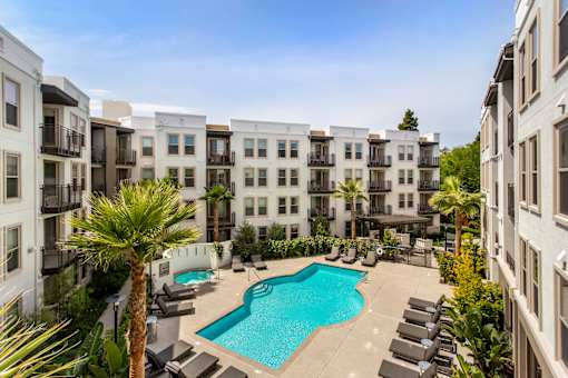 A swimming pool surrounded by lounge chairs and palm trees in a residential area. at Cirrus Redwood City Apartments, Redwood City, 94061