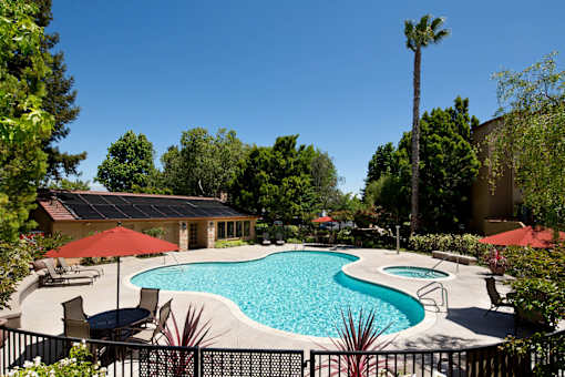 A pool surrounded by trees and a house. at The Maddox Sunnyvale Apartments, Sunnyvale, California