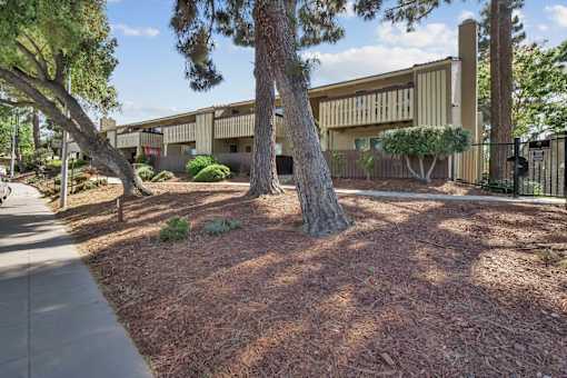 a courtyard with trees and a building in the background at Summerwood Apartments, California