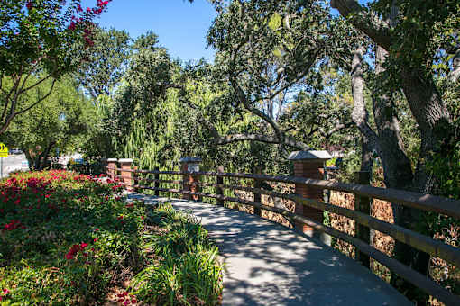 a walkway through a park with trees and a fence  at Danville Park, Danville, CA