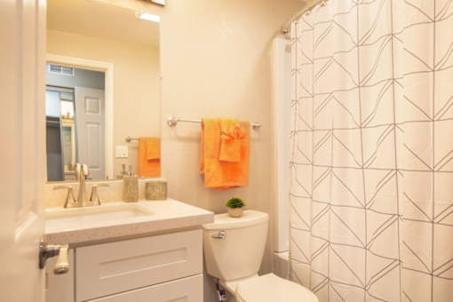 Luxurious Bathroom at Element LLC, Sunnyvale