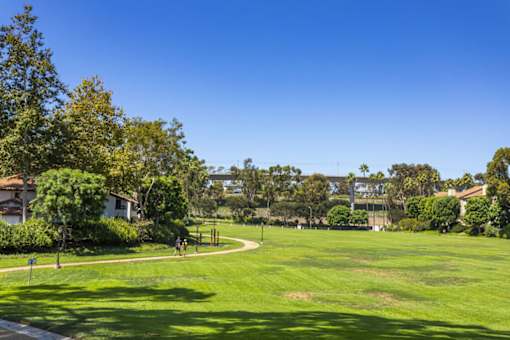 a large grassy field with trees and a blue sky at La Jolla Blue, California, 92122
