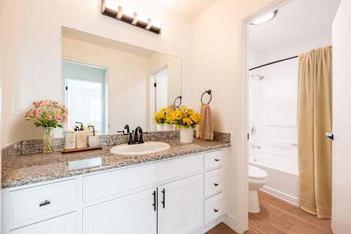A bathroom with a sink, mirror, and a toilet.