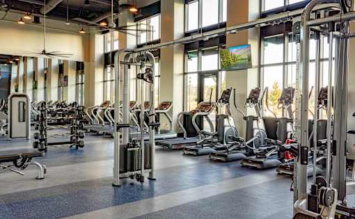 A gym with a variety of equipment including treadmills, weights, and exercise machines.