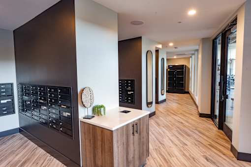 A modern kitchen with wooden floors and a black cabinet.