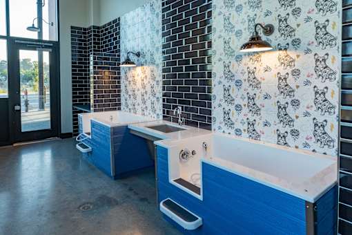 A bathroom with blue and white sinks.