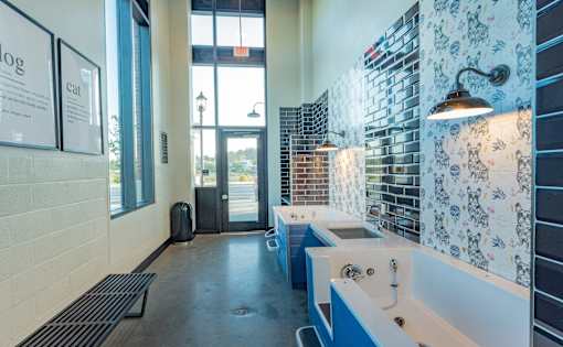 A bathroom with a blue and white tiled wall and a white sink.