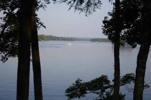 a boat on the lake in the distance between trees