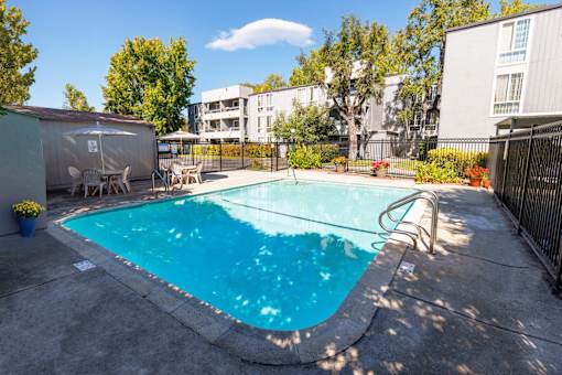 A small pool surrounded by a fence and trees.