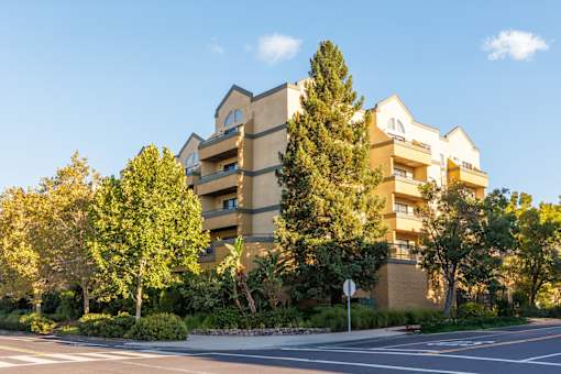 A large apartment building with a tree in front of it.