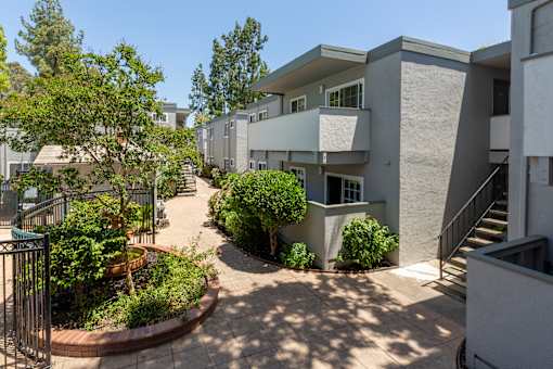 A courtyard with a tree and a fence.