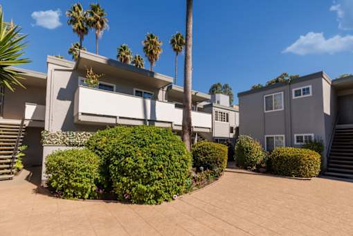 A house with a palm tree in front.