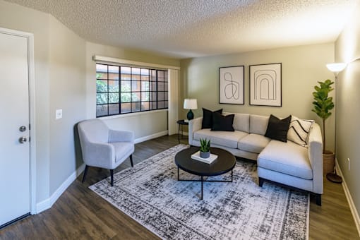 A living room with a grey sofa, a white chair, and a black and white rug.