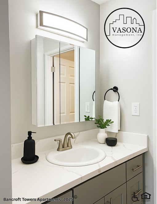 A bathroom with a sink, mirror, and a logo that says Vasona.