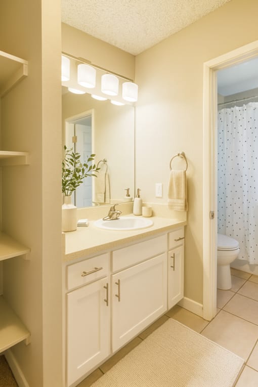 A bathroom with a white sink and a mirror above it.