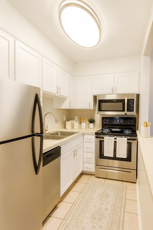 A kitchen with a black fridge and stove.