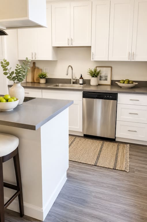 A kitchen with a white counter and a stainless steel dishwasher.