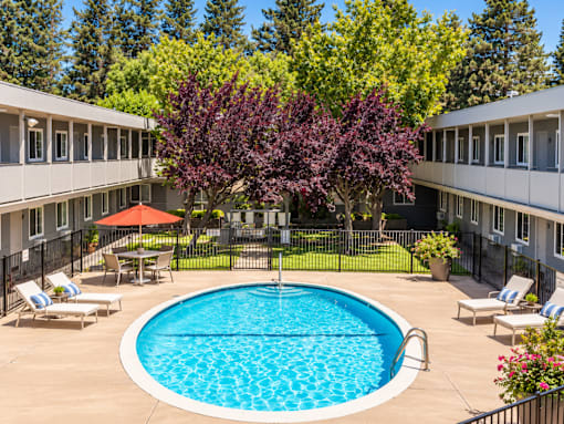 A swimming pool surrounded by trees and chairs.