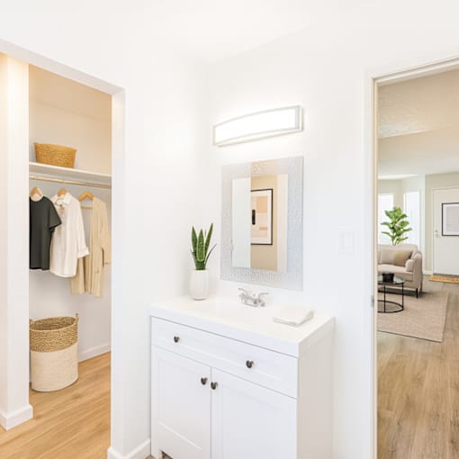 A white bathroom with a mirror, sink, and a plant.
