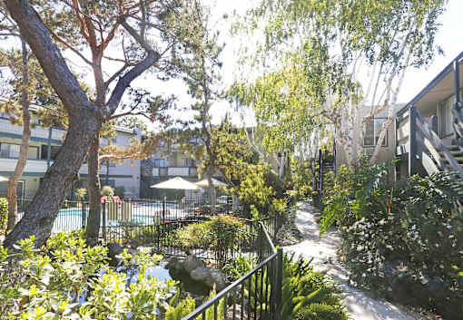 A view of a courtyard with a pool and trees.