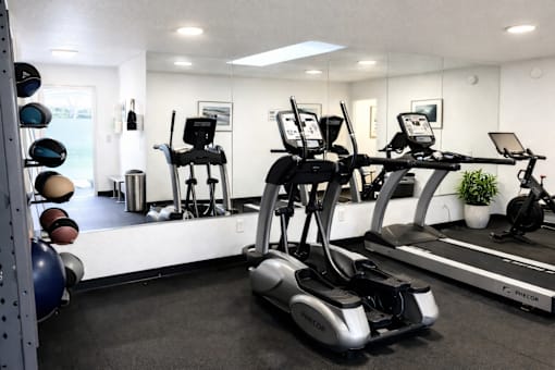 A gym with a treadmill, exercise bike, and weights.