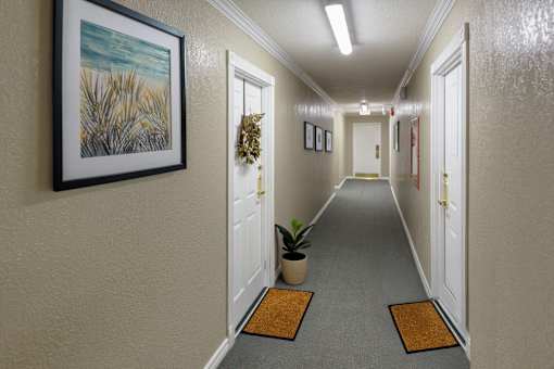 A hallway with a plant on the door mat.