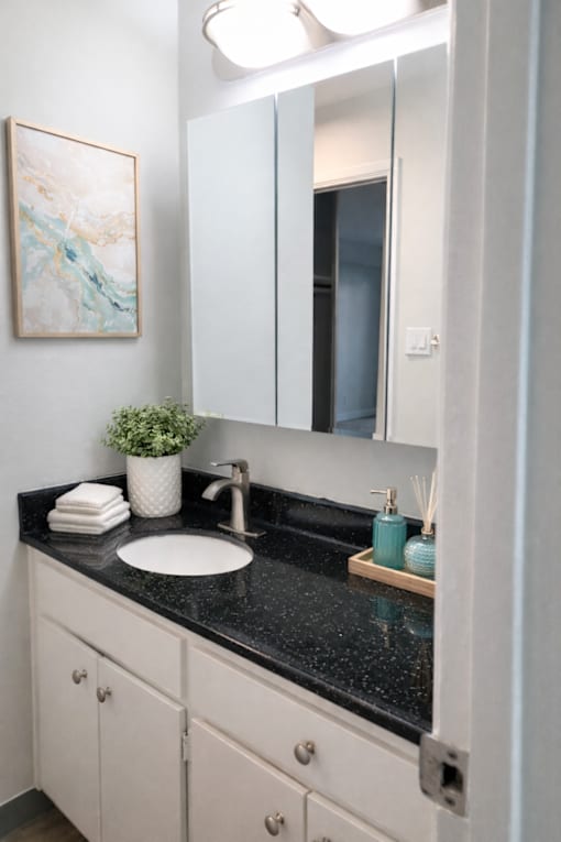 A bathroom with a black countertop and a white sink.