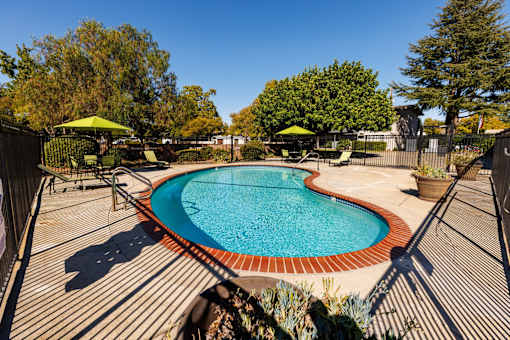 A small pool surrounded by a deck and trees.